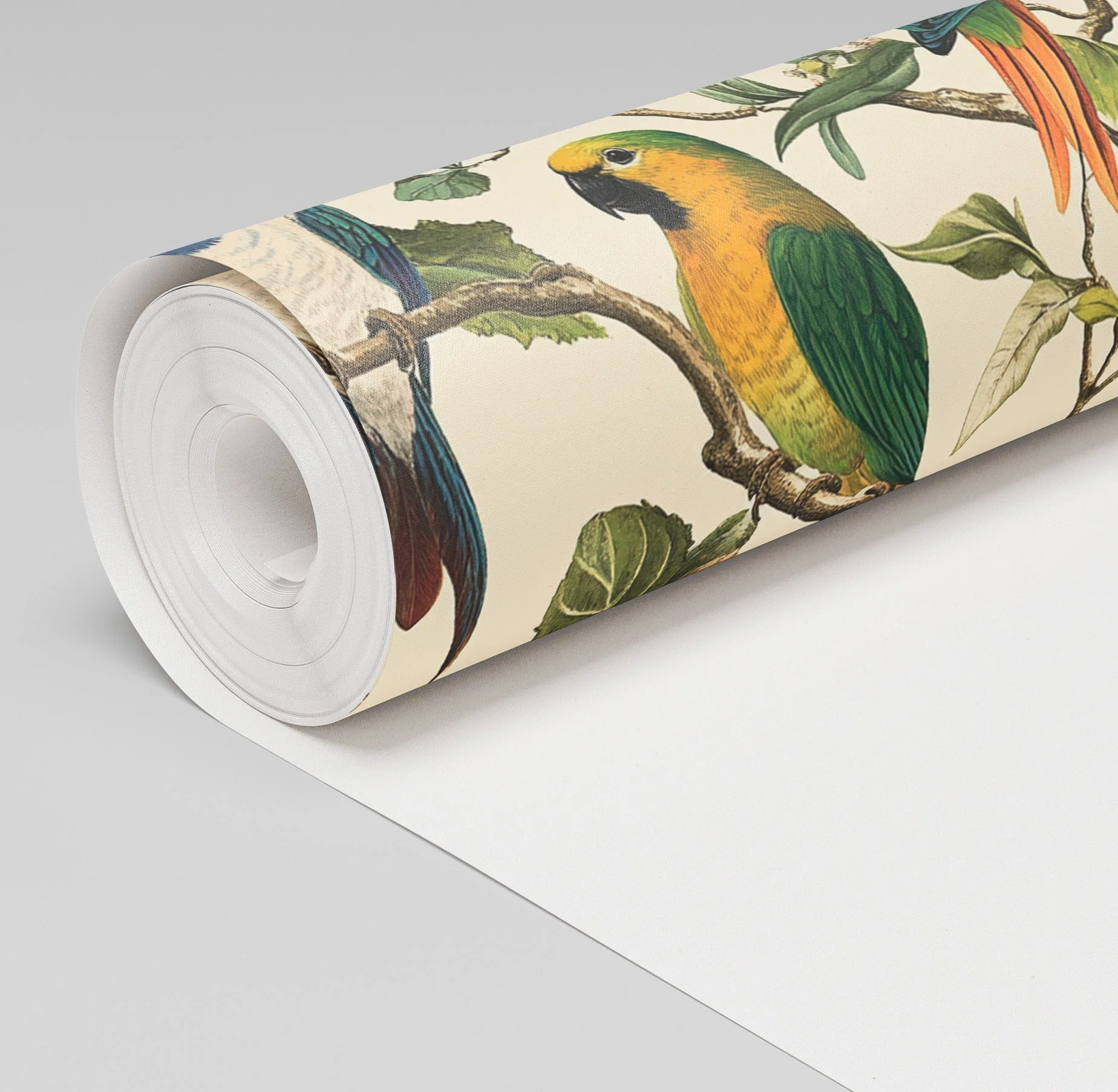 Birds of Bellamy Wallpaper - Image 3