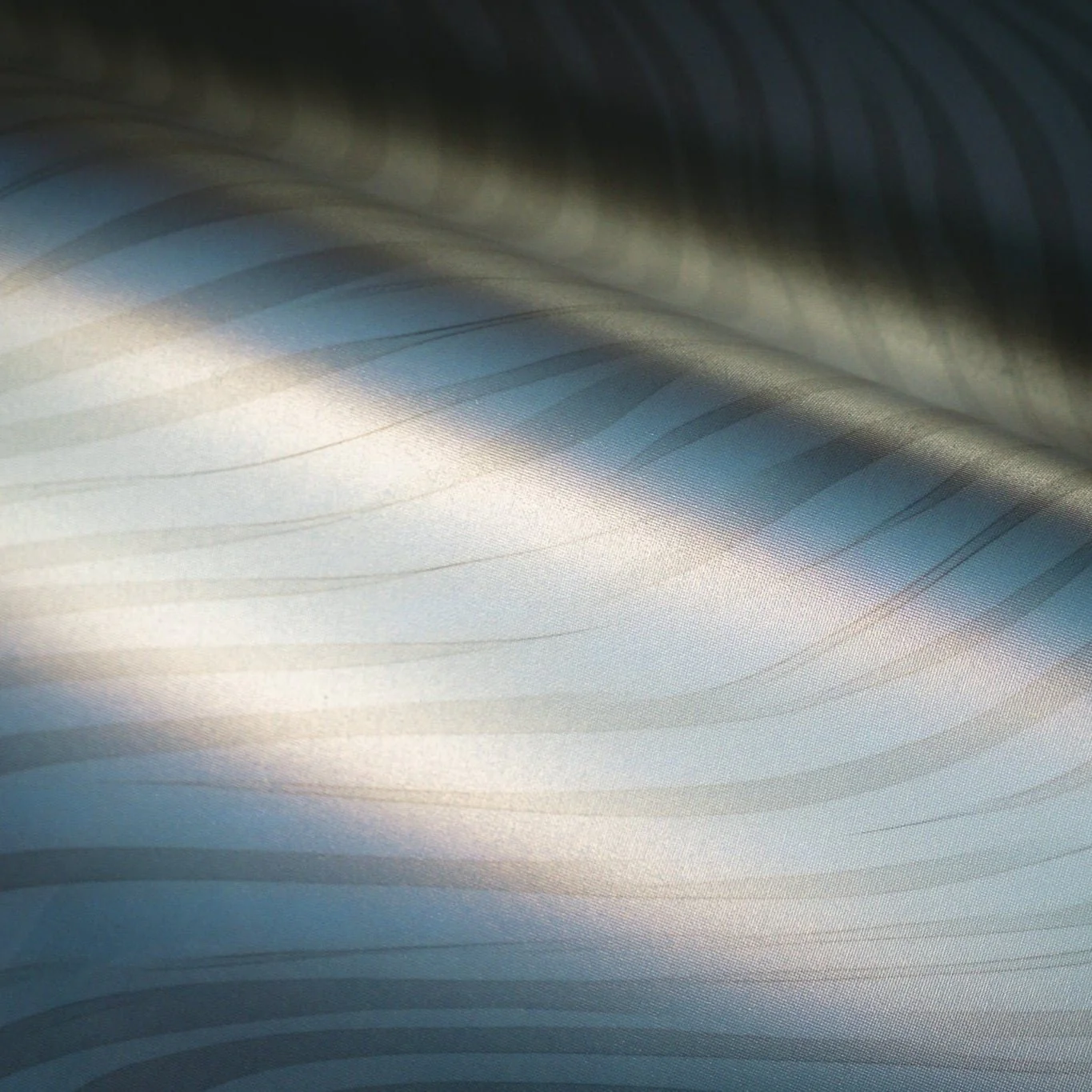 Marguerite Wallpaper - Image 6