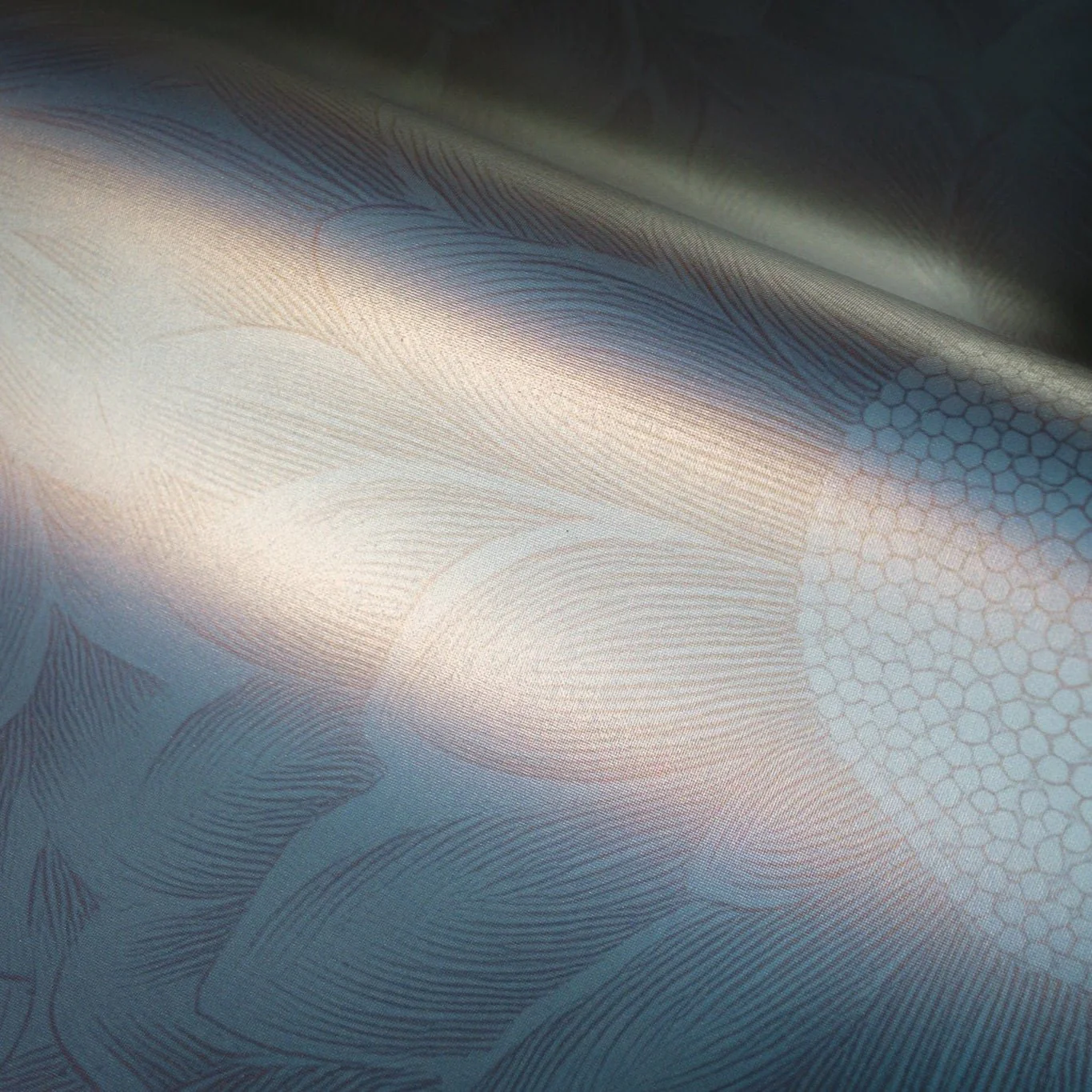 Sunveil Wallpaper - Image 4